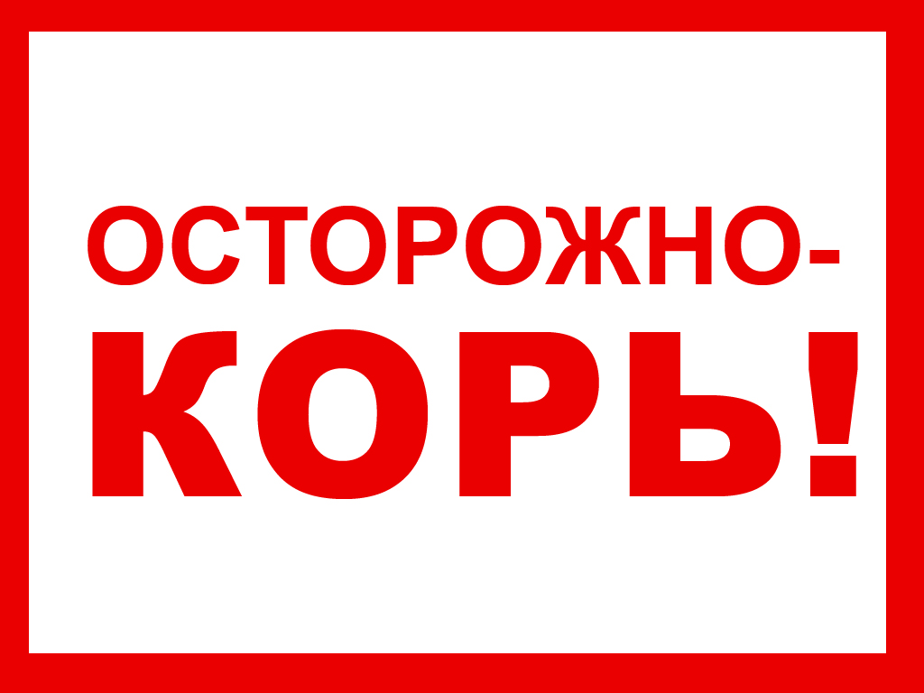 Внимание корь картинки